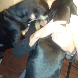 Meet your Posher, David